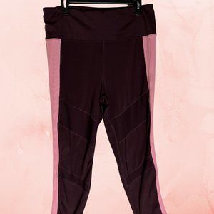 Tangerine pink and mulberry crop plus size legging